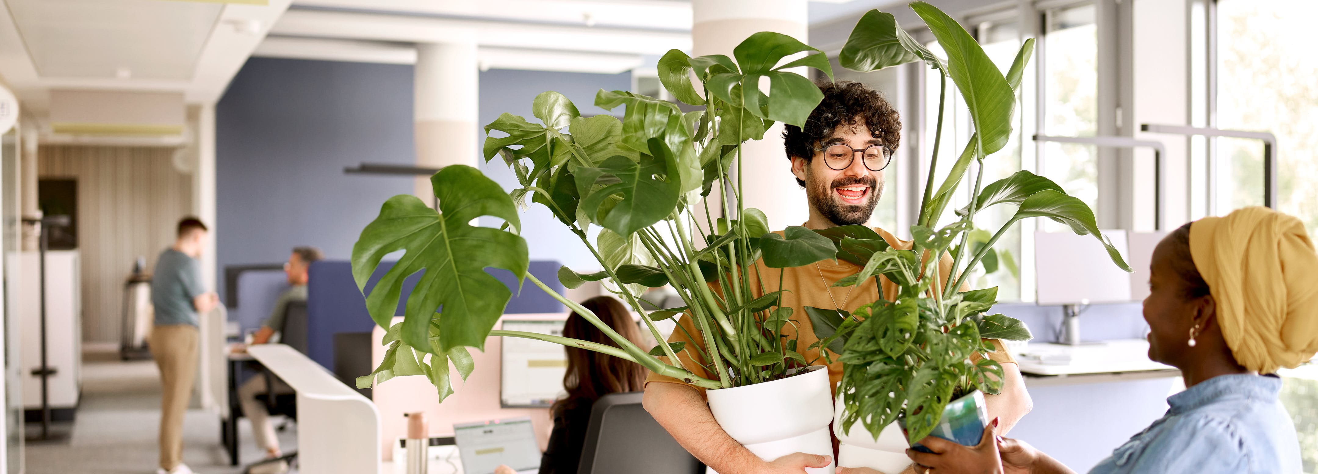 Two people smiling in a bright office, handing over a large potted plant between desks and workstations.