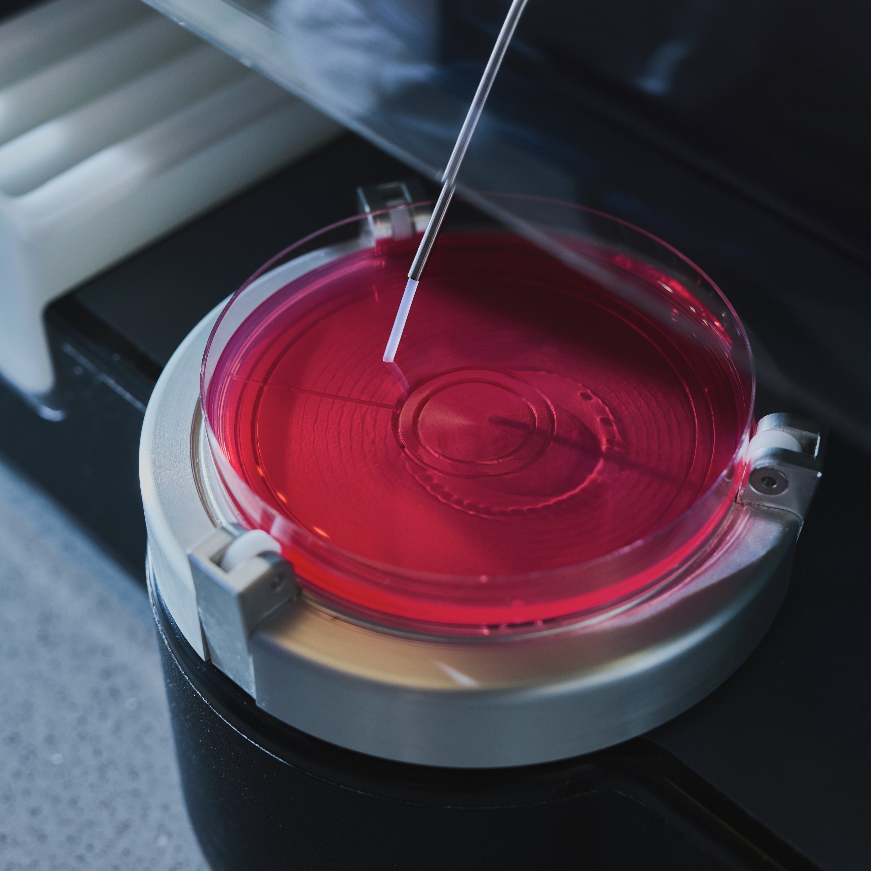 Laboratory technician wearing blue gloves using a pipette to transfer liquid into a multiwell plate during a scientific experiment.