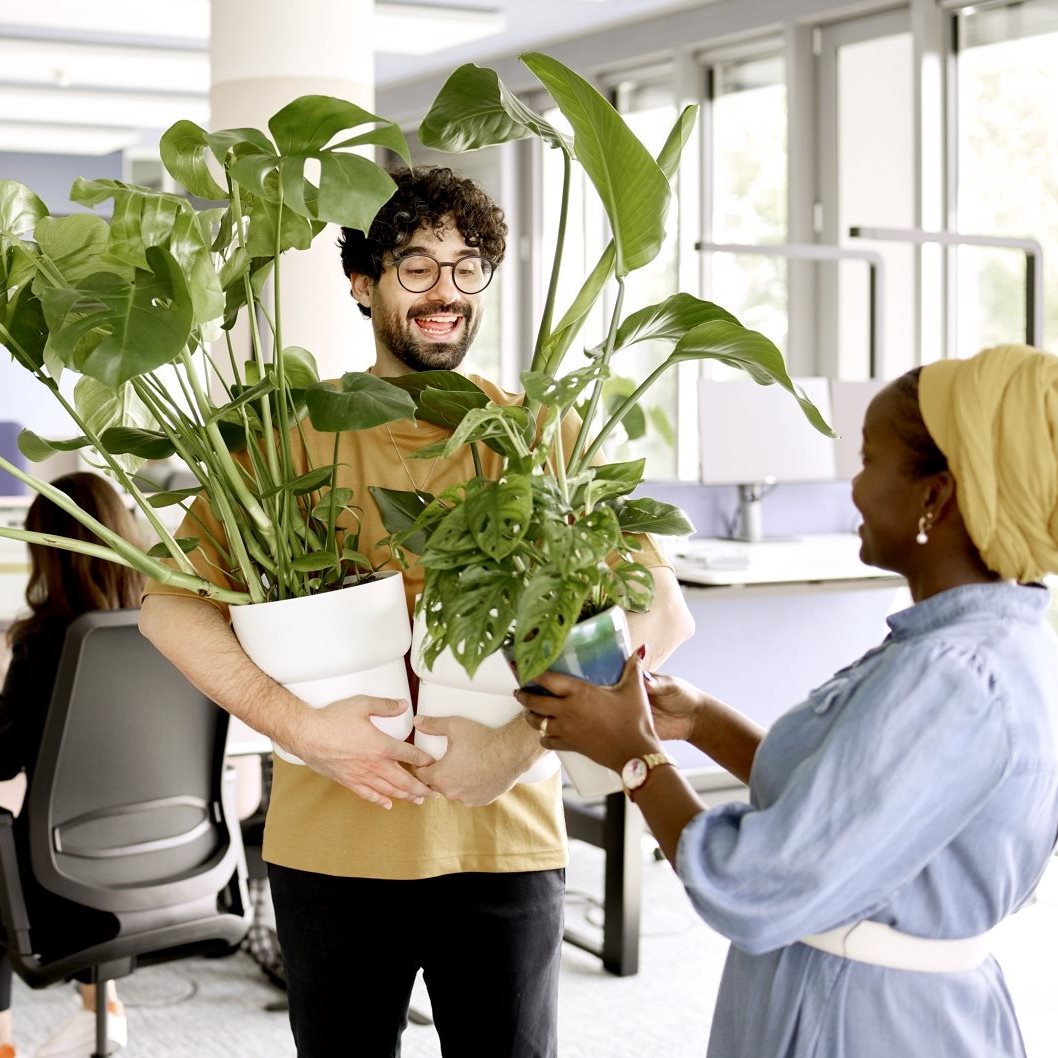 Two people indoors in an office setting, smiling while handing over a large potted plant to each other.
